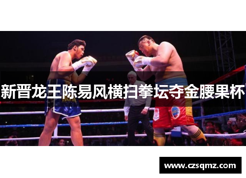 新晋龙王陈易风横扫拳坛夺金腰果杯